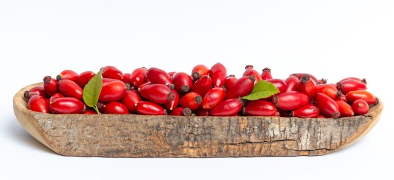 Unlocking the Power of Rose Hips